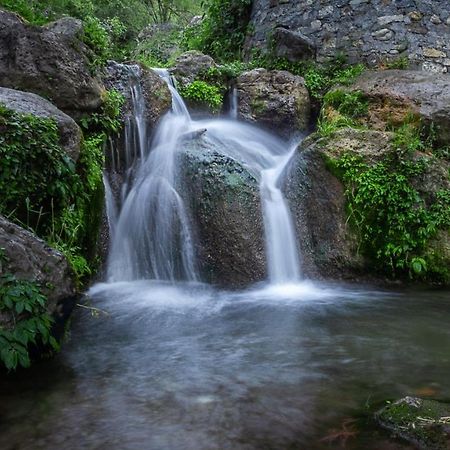 Babutaal Resort Chakrāta Dış mekan fotoğraf