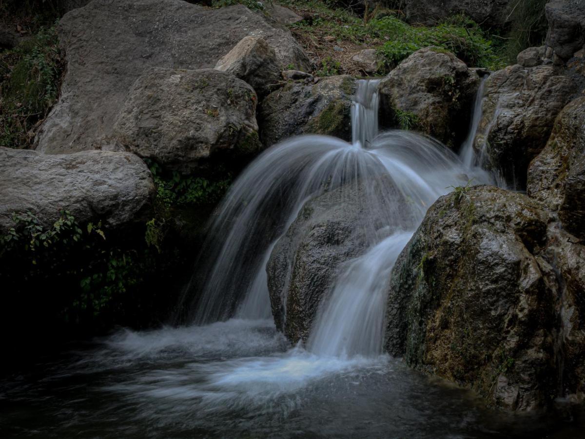 Babutaal Resort Chakrāta Dış mekan fotoğraf