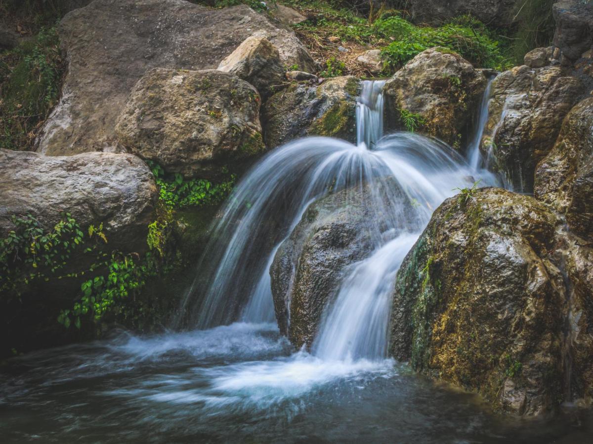 Babutaal Resort Chakrāta Dış mekan fotoğraf