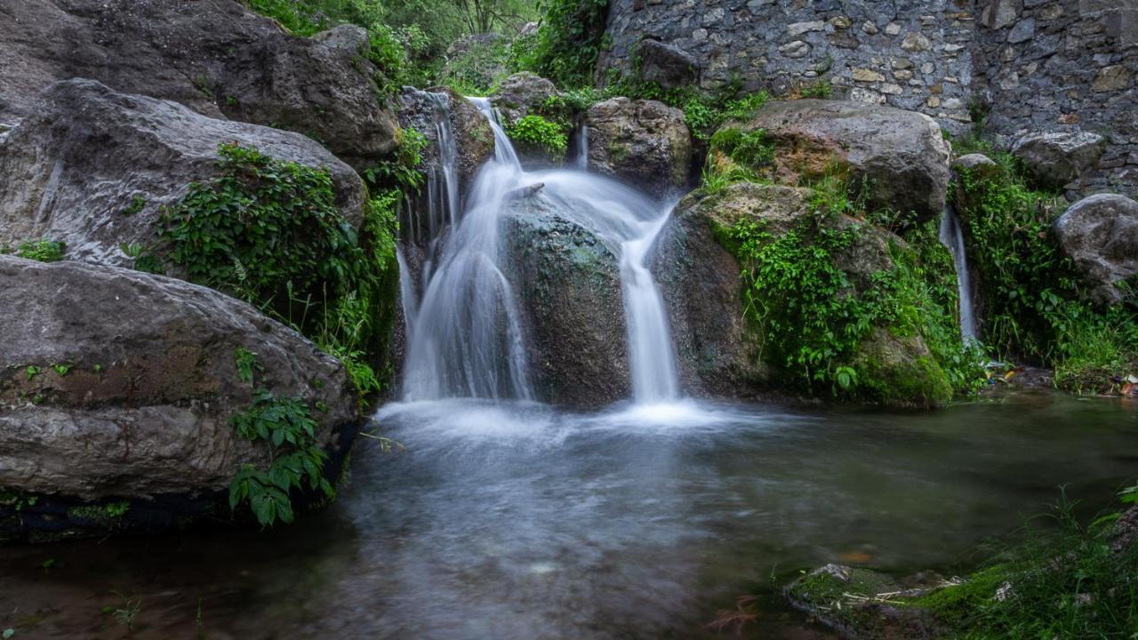 Babutaal Resort Chakrāta Dış mekan fotoğraf