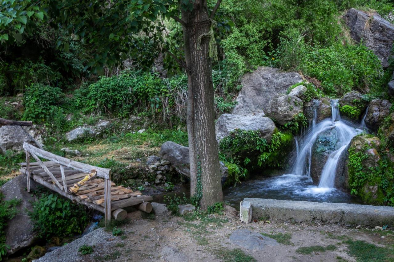 Babutaal Resort Chakrāta Dış mekan fotoğraf