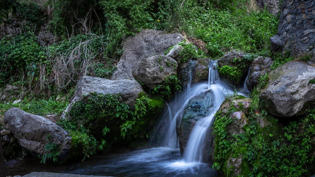 Babutaal Resort Chakrāta Dış mekan fotoğraf