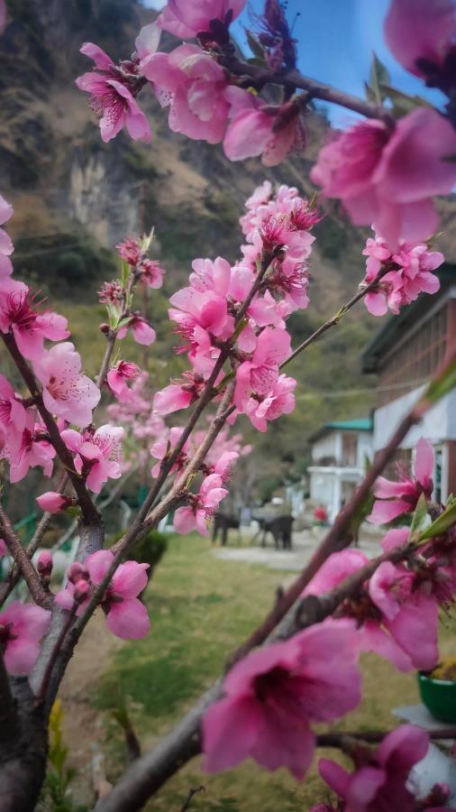 Babutaal Resort Chakrāta Dış mekan fotoğraf